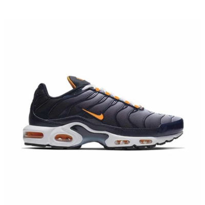 NIKE AIR MAX PLUS TN (G5)